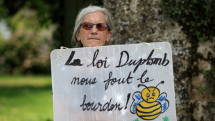 French anger over bee-killing pesticide piles pressure on Macron