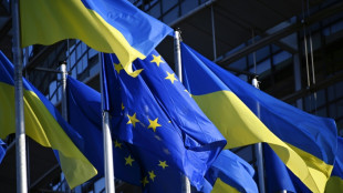 EU-L&auml;nder erw&auml;gen Ende von Schutzstatus f&uuml;r Ukrainer in wehrf&auml;higem Alter