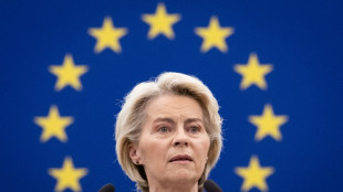 La UE agilizará la revisión de la prohibición de vender autos de combustión, ante la presión del sector