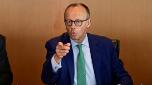 El canciller alem&aacute;n Merz visita Londres para hablar de inmigraci&oacute;n y defensa