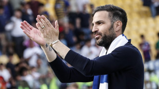 Calcio: nuovi tecnici Uefa Pro, Fabregas e Pisacane promossi