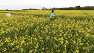 Les &eacute;missions de protoxyde d'azote mettent en p&eacute;ril les objectifs climatiques, selon une &eacute;tude