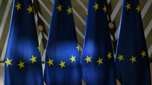 Aufsichtsgeb&uuml;hren f&uuml;r Meta-Plattformen und Tiktok m&uuml;ssen neu festgelegt werden