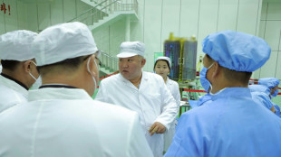 Corea del Norte envi&oacute; un "lanzador espacial", dicen militares surcoreanos