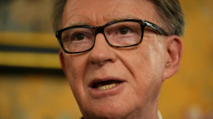 Sacked UK envoy Mandelson quits parliament over Epstein ties