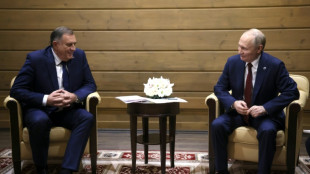 Nach Absetzung Dodiks: Interimspr&auml;sidentin der serbischen Teilrepublik Bosniens gew&auml;hlt