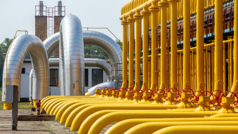 Niedriger F&uuml;llstand in Gasspeichern: Gr&uuml;nen-Politiker besorgt - Regierung beruhigt