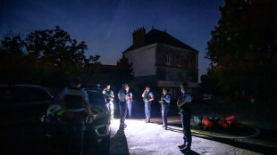 Crash de l'avion pilot&eacute; par G&eacute;rard Leclerc: les recherches des victimes se poursuivent