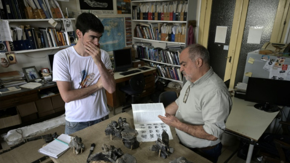 "Ombre de la mort": en Argentine, un dinosaure pr&eacute;dateur livre quelques secrets