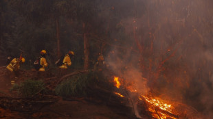 Damnificados por los incendios en Chile piden ayuda y el gobierno apunta a un origen intencional