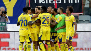 Tra Udinese e Verona finisce con un pareggio