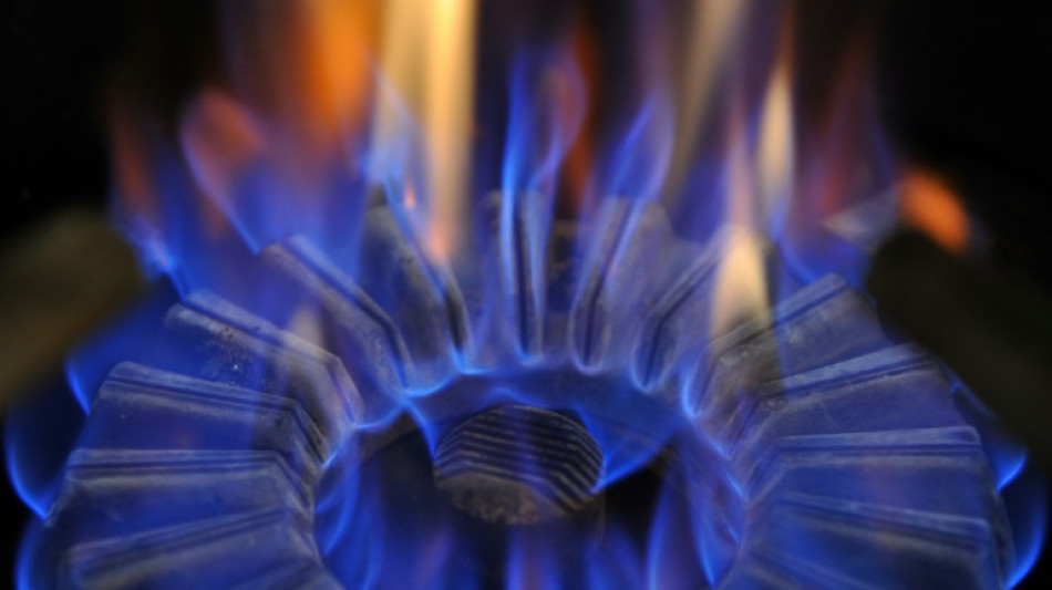 Ch&egrave;que &eacute;nergie: pas de prolongation du guichet, faute de budget