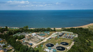 En Angleterre, la baignade estivale troubl&eacute;e par les rejets d'eaux us&eacute;es