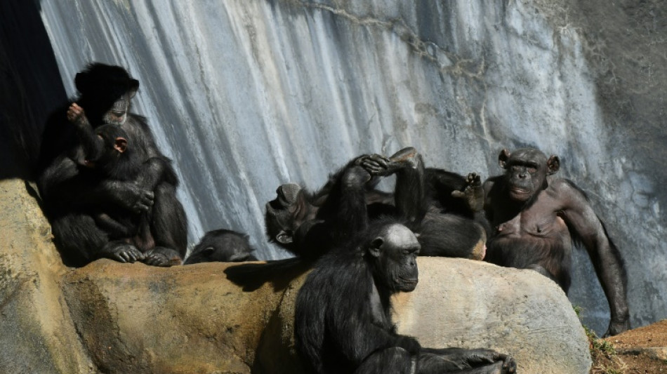 Muere a los 75 a&ntilde;os el aclamado primat&oacute;logo Frans de Waal