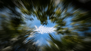 El Festival de Cannes calienta motores para una edici&oacute;n bajo tensi&oacute;n