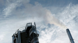 Biogaz: quand crottin et d&eacute;chets agricoles alimentent l'ind&eacute;pendance &eacute;nerg&eacute;tique