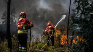 L'Espagne et le Portugal en proie &agrave; la canicule et en &eacute;tat d'alerte face au risque d'incendies 