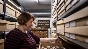 Scoperte le piume mancanti che fecero volare i primi dinosauri