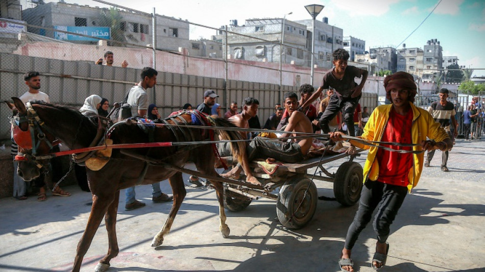 Defensa Civil en Gaza informa de 73 muertos por disparos israel&iacute;es contra palestinos que esperaban ayuda