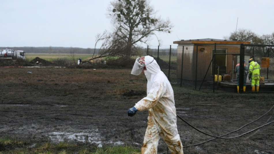 Erdölhavarie in Brandenburg: Abtransport von Erde beginnt - Bach betroffen
