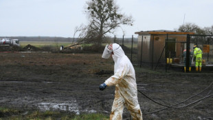 Erdölhavarie in Brandenburg: Abtransport von Erde beginnt - Bach betroffen