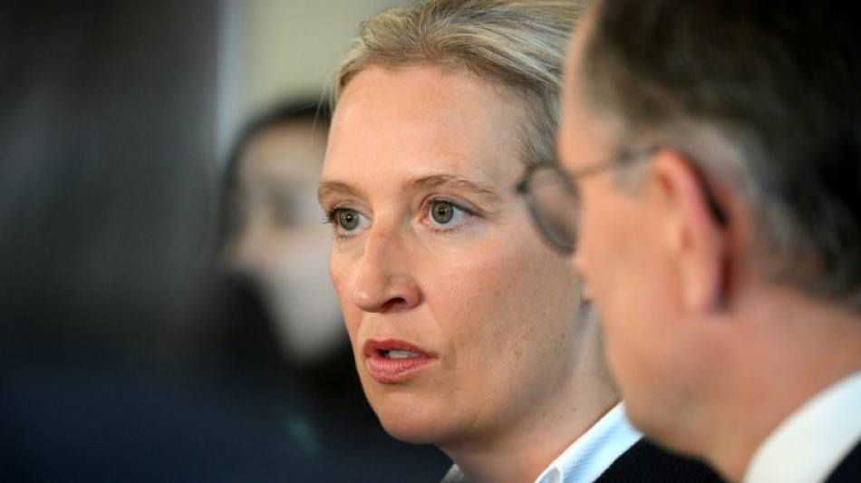 Verfassungsschutz nennt AfD vorl&auml;ufig nicht mehr &ouml;ffentlich rechtsextremistisch