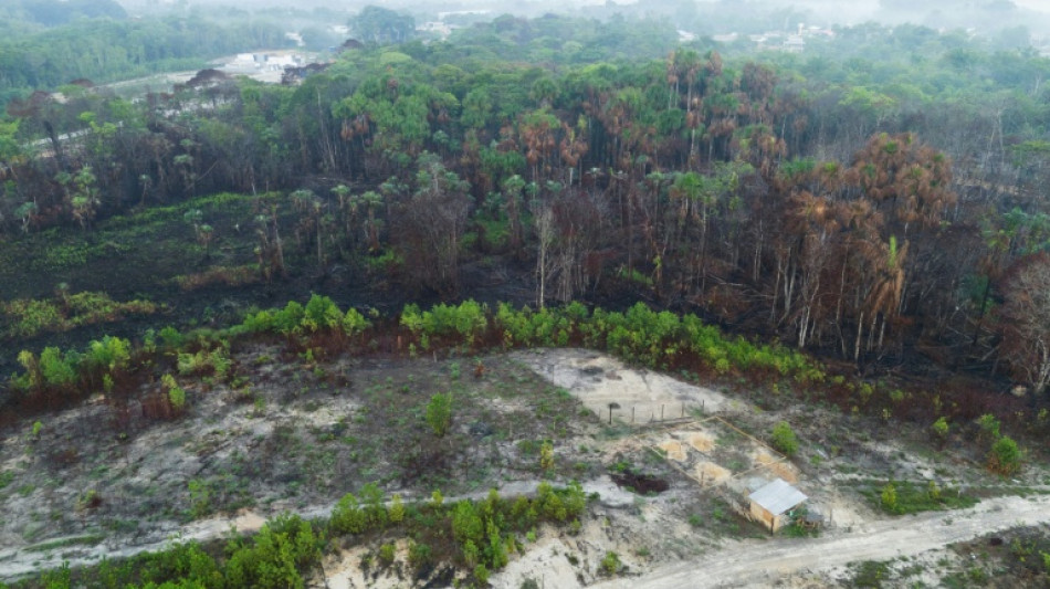 &Aacute;rea incendiada no Brasil em 2024 foi 62% maior que a m&eacute;dia de quatro d&eacute;cadas