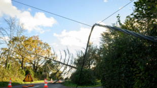 Temp&ecirc;te Caetano: 33.000 foyers encore sans &eacute;lectricit&eacute;