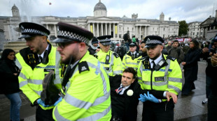 Palestine Action inicia demanda judicial para anular su prohibición en Reino Unido