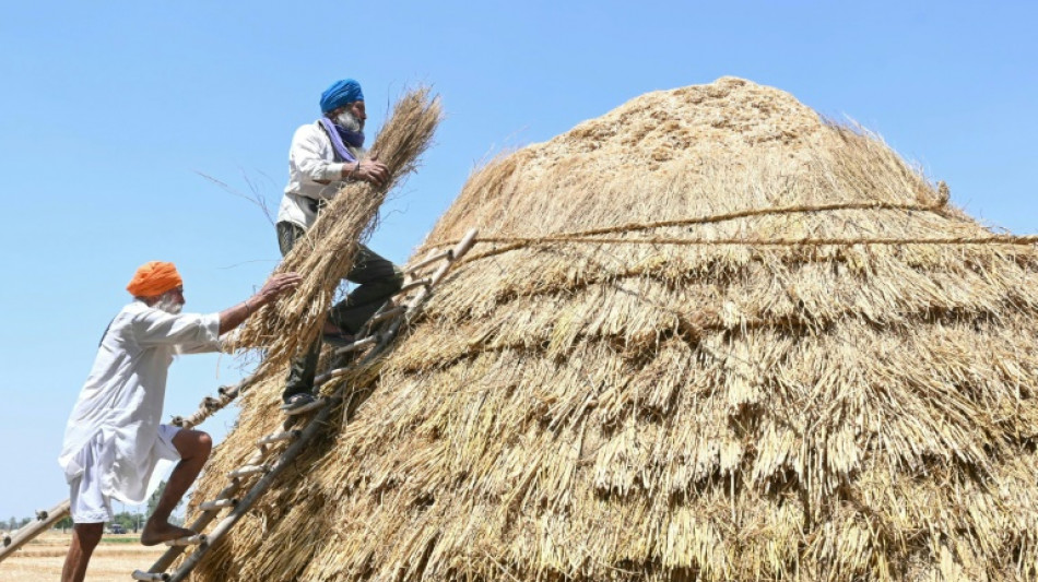 A la frontière du Pakistan, des villageois indiens inquiets et fatalistes