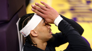 Hayes, do Lakers, &eacute; suspenso por empurrar mascote do Washington Wizards