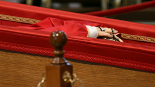 Quase 50.000 fi&eacute;is visitam o vel&oacute;rio do papa Francisco