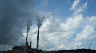 Charbon: consommation en hausse aux USA, léger repli en Chine et Inde, selon l'AIE