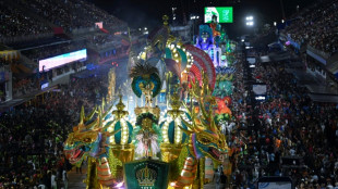 El Carnaval de Rio se reencuentra con la alegr&iacute;a de vivir