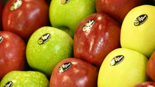 Schlechte Ernten: Lebensmittelindustrie warnt vor Engp&auml;ssen besonders bei Obst