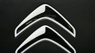 Stellantis nombra a Xavier Chardon al frente de Citro&euml;n