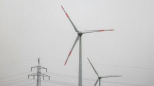 Bundesregierung will an einheitlicher Strompreiszone festhalten