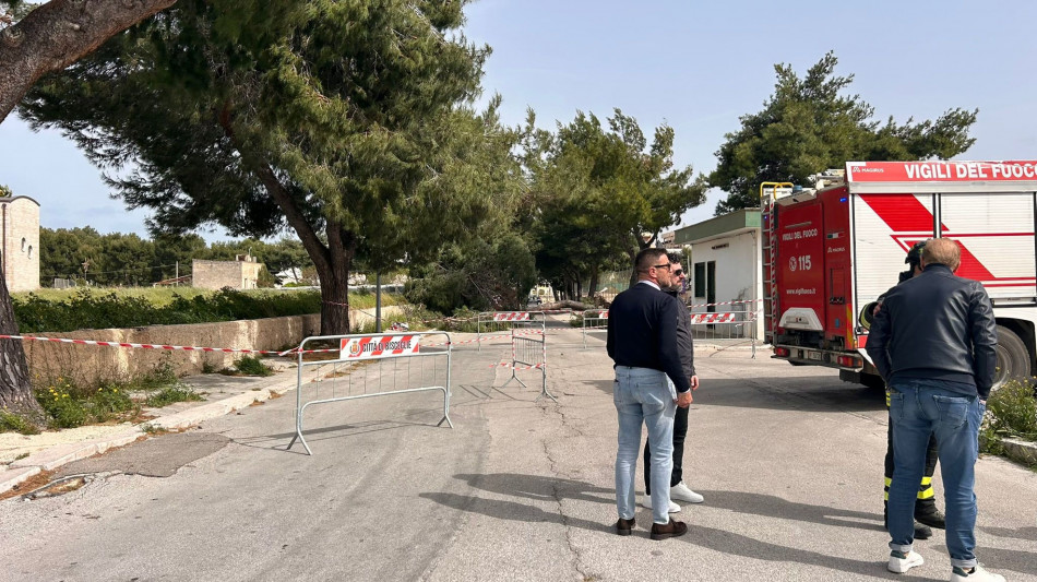 Albero cade per il vento a Bisceglie, muore ragazzina 12enne