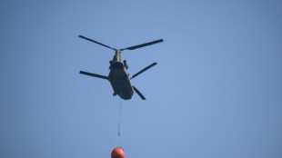 Farmers, helicopters help battle record Belgian wildfire