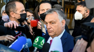Pese a cr&iacute;ticas, el primer ministro h&uacute;ngaro muestra su cercan&iacute;a con Putin