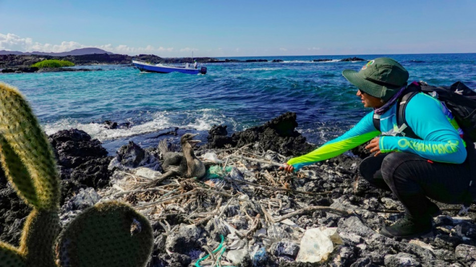 Coquillages et an&eacute;mones colonisent le "continent de plastique" du Pacifique, selon une &eacute;tude