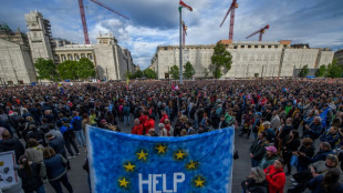Hungarians protest 'authoritarian' bill against NGOs, media