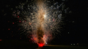 Zoll findet mehrere hundert Kilogramm illegale Pyrotechnik bei Mann in Hamburg