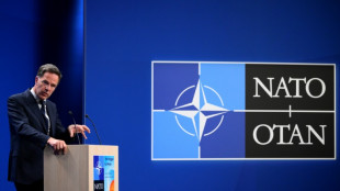 La OTAN, una alianza de 32 pa&iacute;ses con grandes disparidades de gasto militar