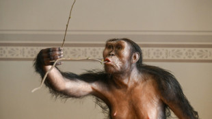 L'australopithèque Lucy, exposée pour la première fois au public à Prague