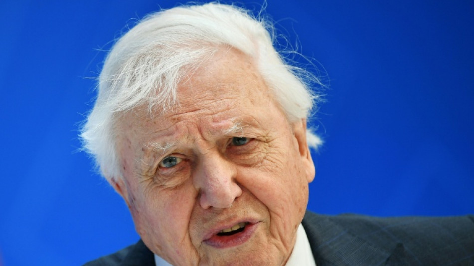 Aos 99 anos, David Attenborough lança novo filme com apelo para salvar os oceanos