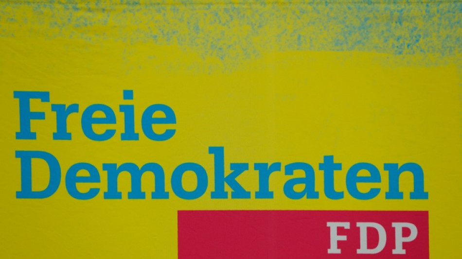"Popanz Brandmauer": Designierter FDP-Generalsekret&auml;r will neuen Umgang mit AfD