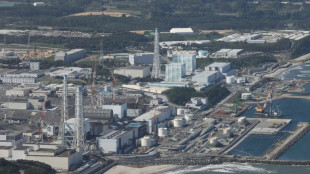 Jap&oacute;n realizar&aacute; pruebas de eliminaci&oacute;n de residuos nucleares de Fukushima