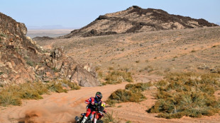 Brabec se acerca al t&iacute;tulo del Dakar en motos tras ganar la 10&ordf; etapa