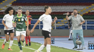 Campe&atilde;o da Libertadores no Palmeiras, Ricardo Belli assume sele&ccedil;&atilde;o feminina da Venezuela
